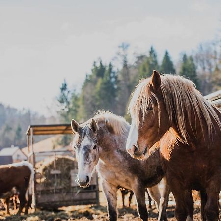 Farm Stay Zurej Šentjur Buitenkant foto