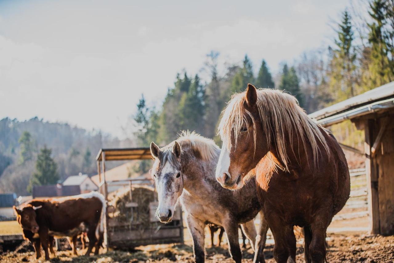 Farm Stay Zurej Šentjur Buitenkant foto