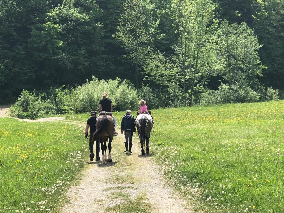 Farm Stay Zurej Šentjur Buitenkant foto