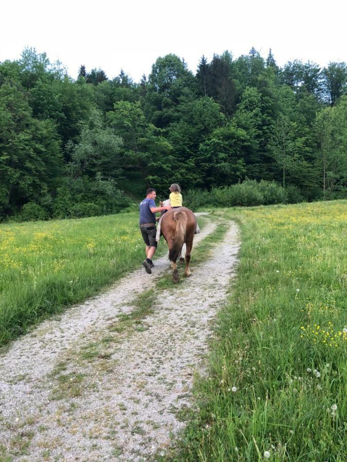 Farm Stay Zurej Šentjur Buitenkant foto